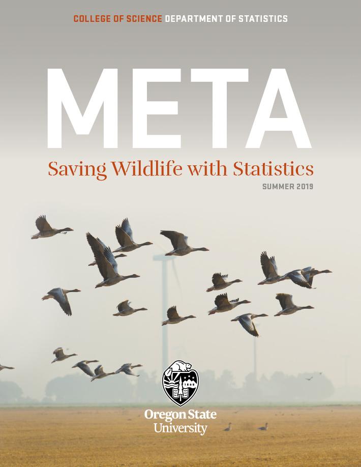 Cover of 2019 Statistics Newsletter featuring geese in flight.